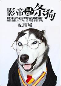 影帝狗狗