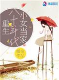 重生八十年代小女当家林宛