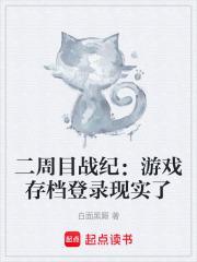 二周目游戏什么意思